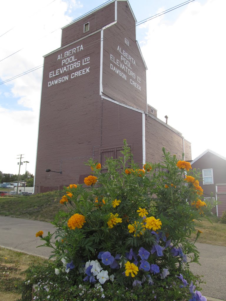 A Slice Of The Prairies In British Columbia - The Old Grain Elevator In Dawson Creek BC Aug '12 by David Cure-Hryciuk