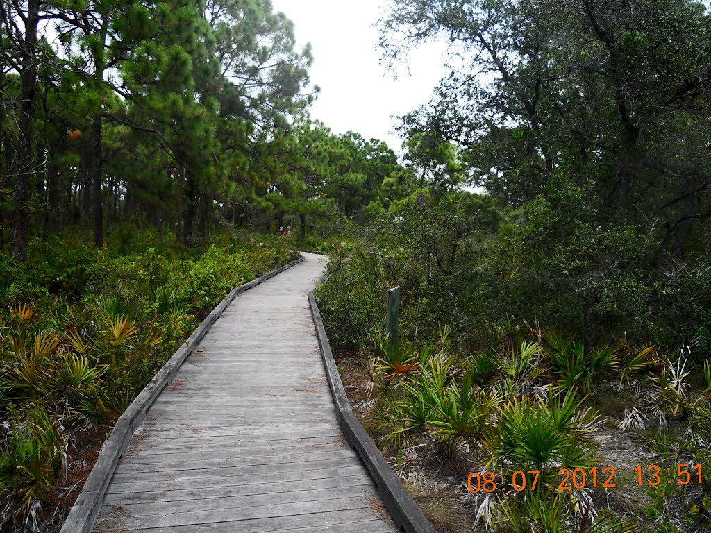 Naples Preserve Boardwalk by AARGGHHH