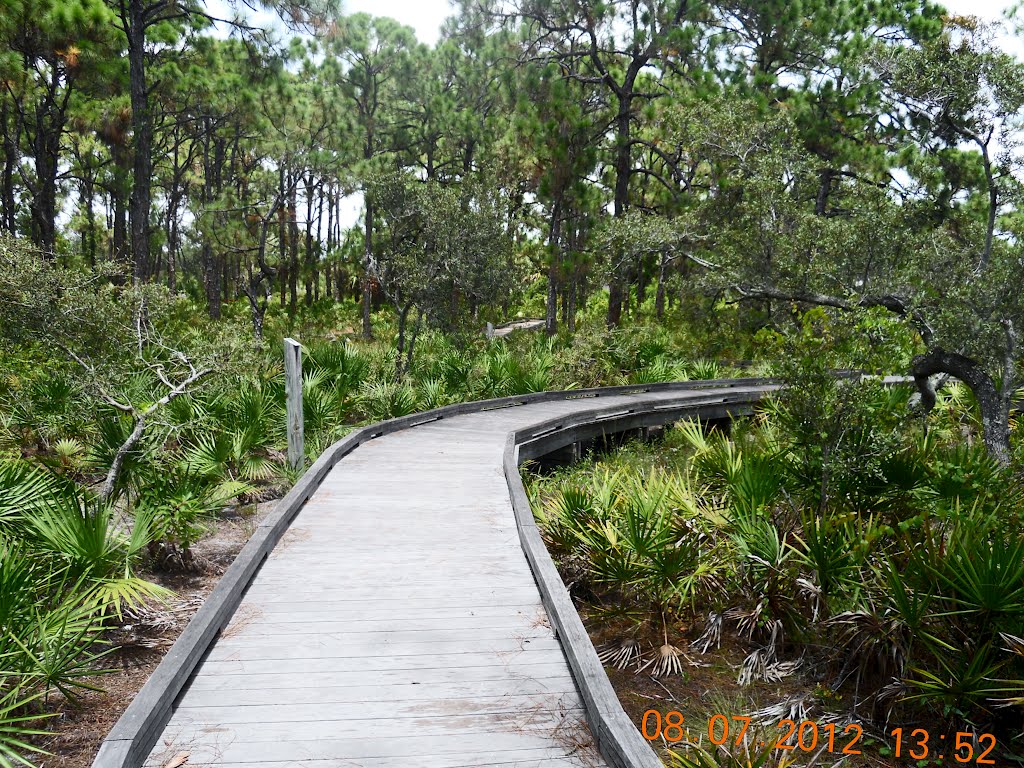 Naples Preserve Boardwalk by AARGGHHH