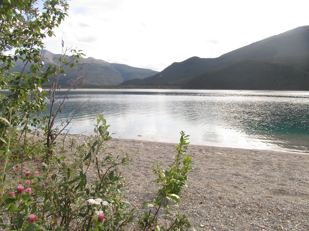 Wildflowers, Mountain Majesty And Clear Waters At Muncho Lake Northwest of Fort Nelson BC Aug '12 by David Cure-Hryciuk