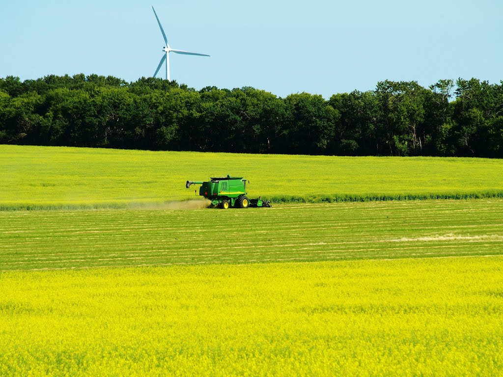 St Leon Wind Farm, Manitoba by Shahnoor Habib Munmun