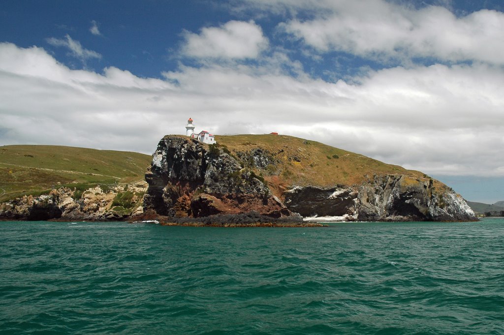 Taiaroa Head Lighthouse by tandmkohlbush