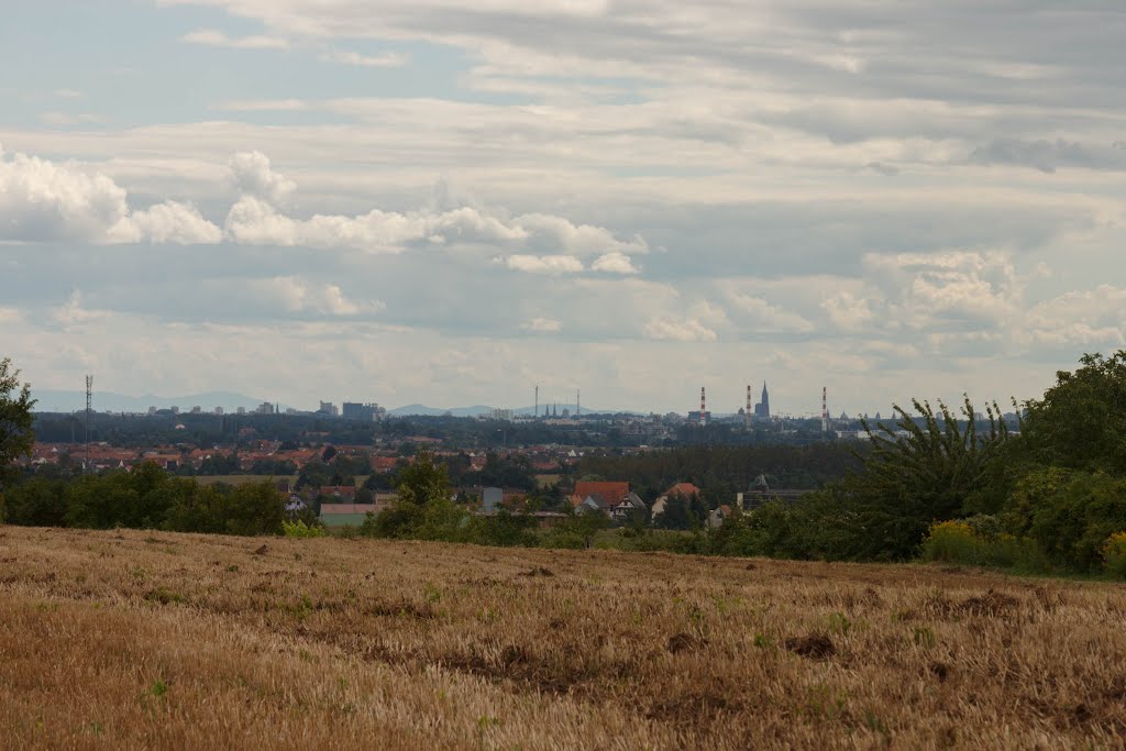 Vue sur Strasbourg by aurel.ebel