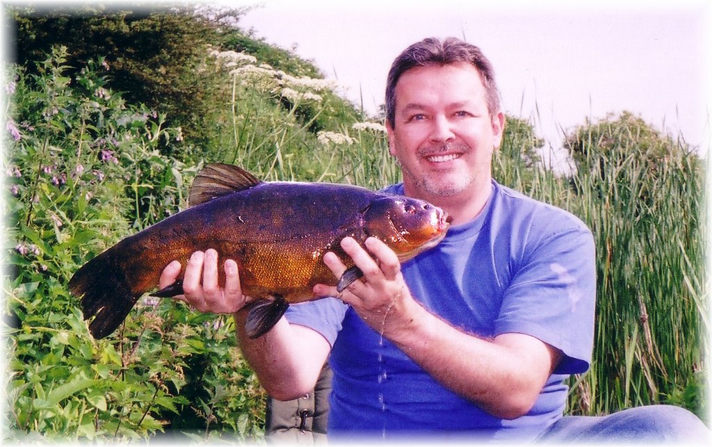 Summer Tench 7lb+ by spellweaver13@btinte…