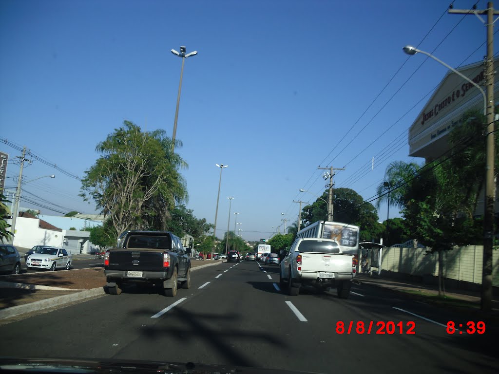 AV. MATO GROSSO..... by jairo tessari