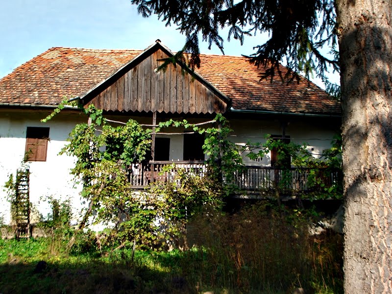 Erdély, Hargita, Kőrispataki parasztház, /Criseni, Rural house, Transylvania by Puskás /Novotni/ Margaréta