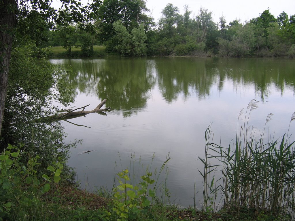 Etang des Mardelles by Fran7