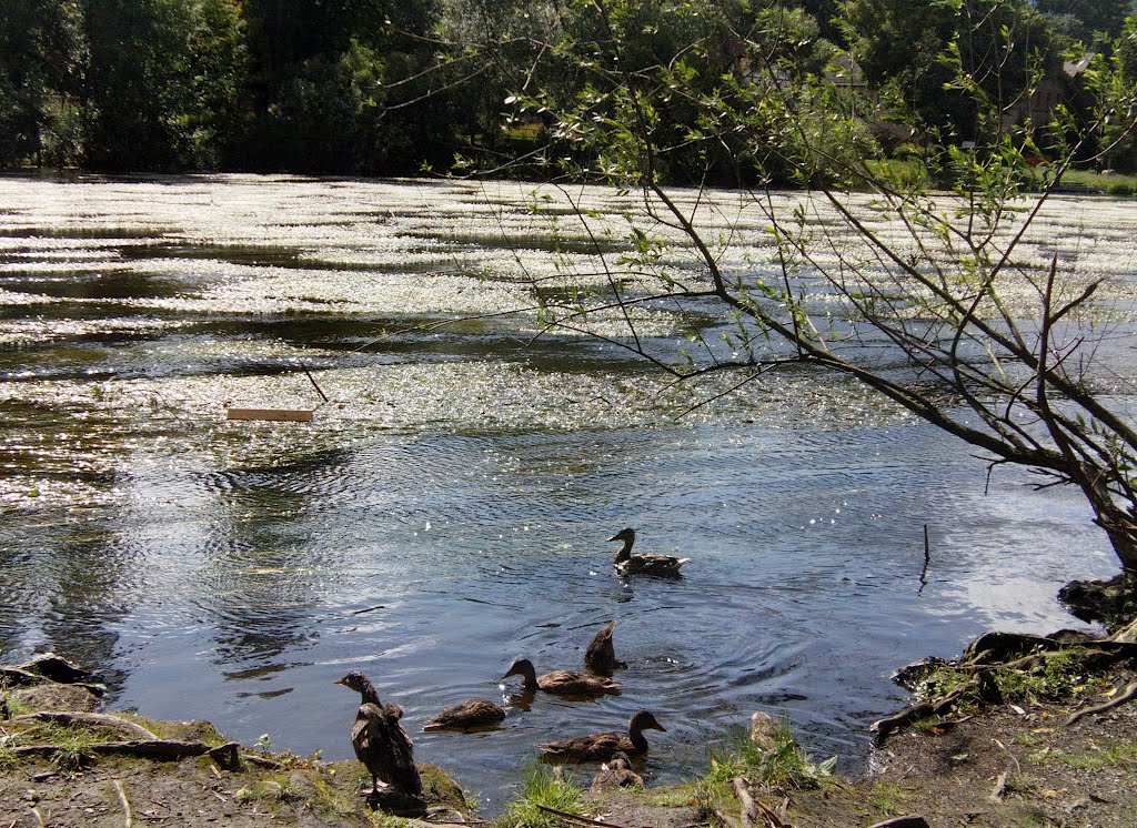 Familienausflug auf der Saale bei Saalfeld-Saale 14.07.12 - 02 by ConnyWonny