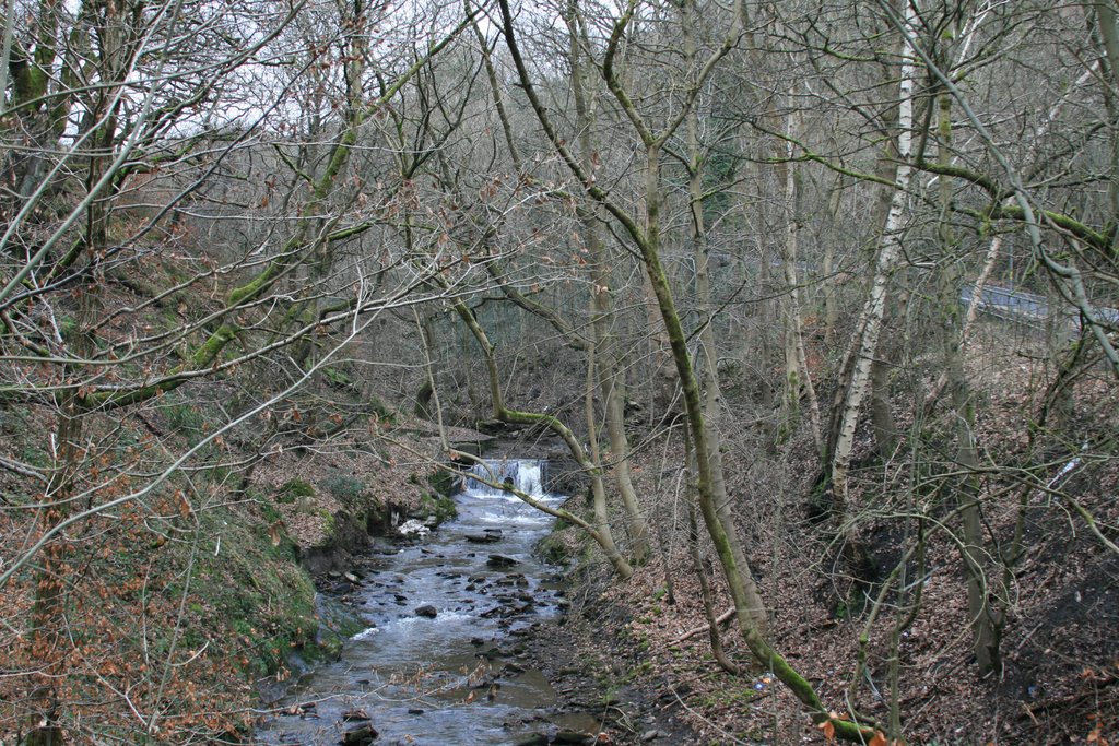 Cheesden Brook by Bob Shuttleworth