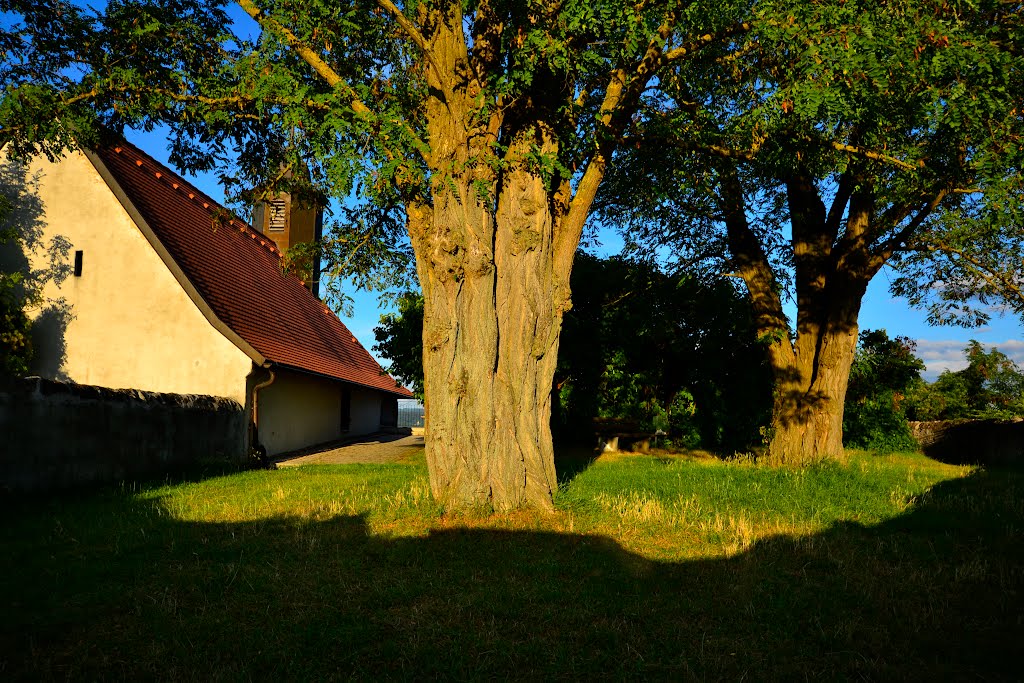 Garten der Michaelskapelle by W.Schmidt