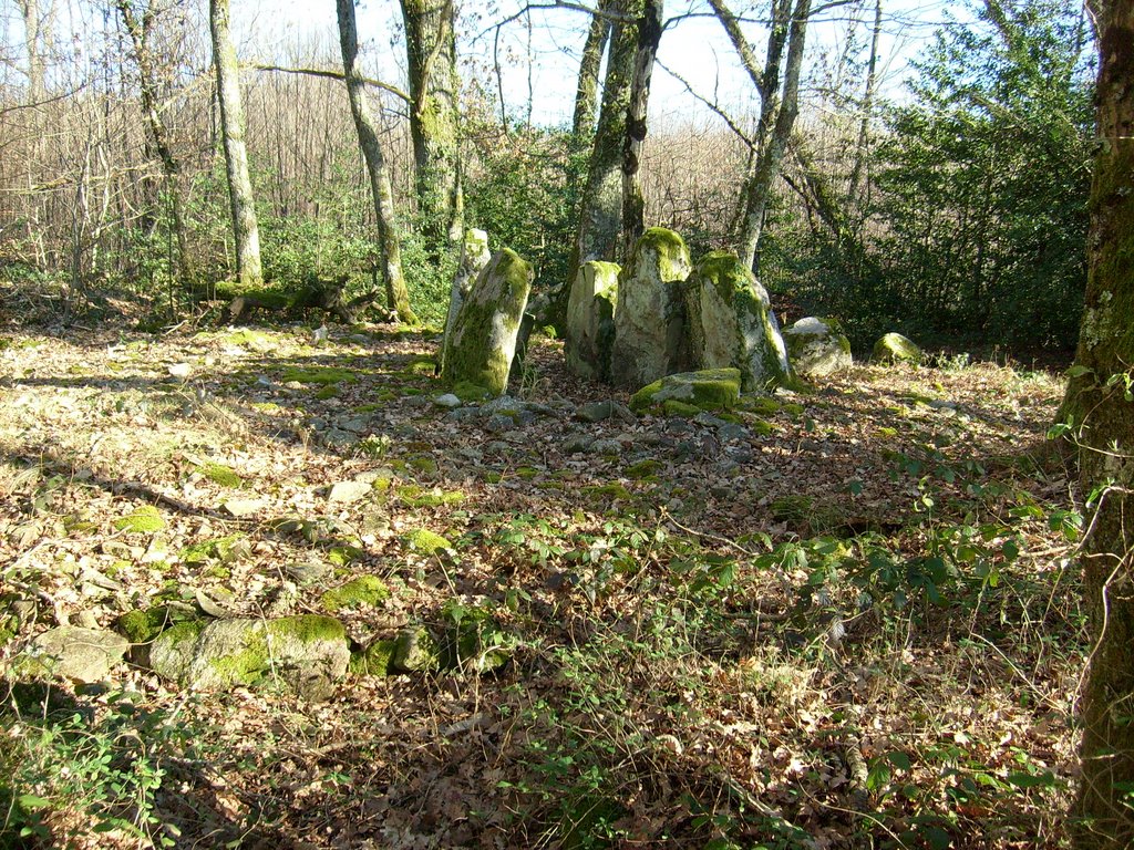 Dolmen des Quatre-Routes by Julien Peccoud