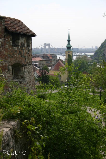 006 Budapest Taban depuis chateau by Cathy Chevillot