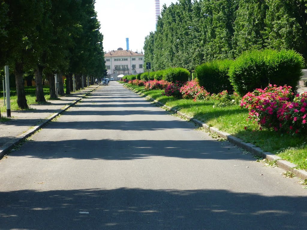 Viale Carlo d'Adda by Lu49