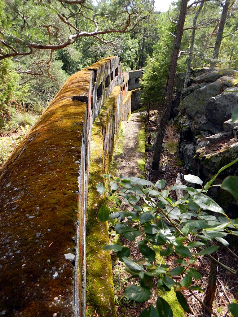 The old shooting trench near Gammelström by FoH