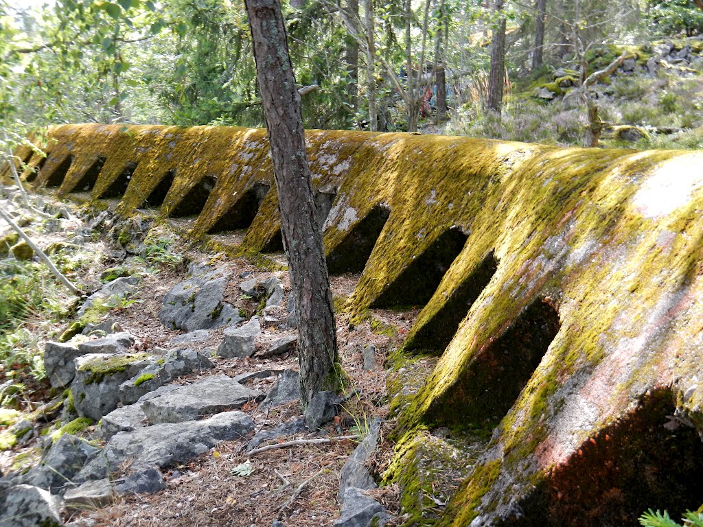 The old shooting trench near Gammelström by FoH