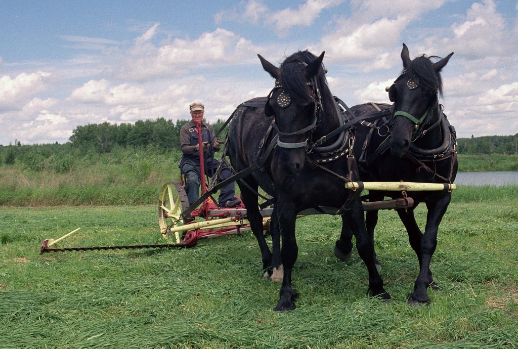 Ukrainian Village Mowing by Kent Martens