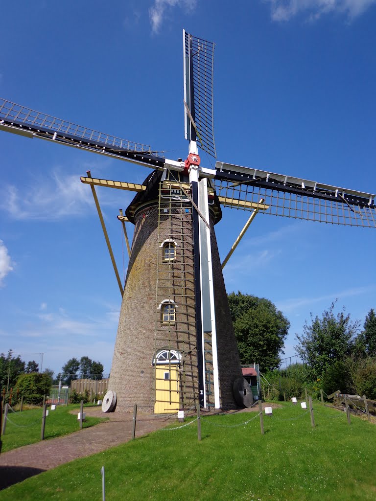 Koutermolen Hoedekenskerke by © rdnjc