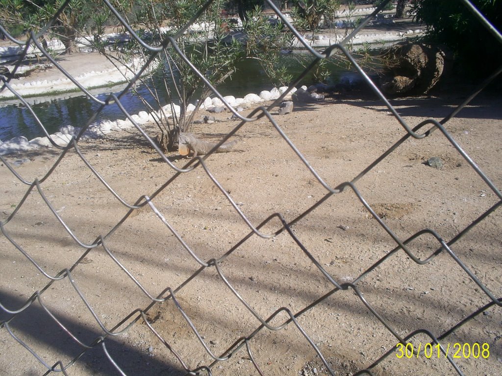 Centro Ecológico, Hermosillo by Oswaldo Ibarra