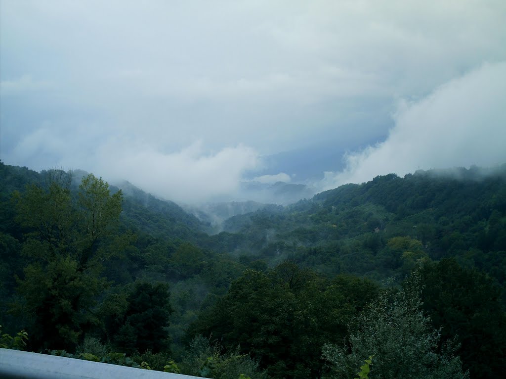 Colline d' autunno by dezanet.loris