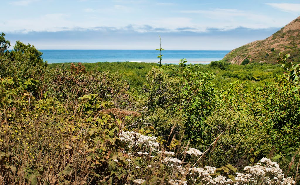 Lighthouse Road DSC_5768sf by Larry Butcher