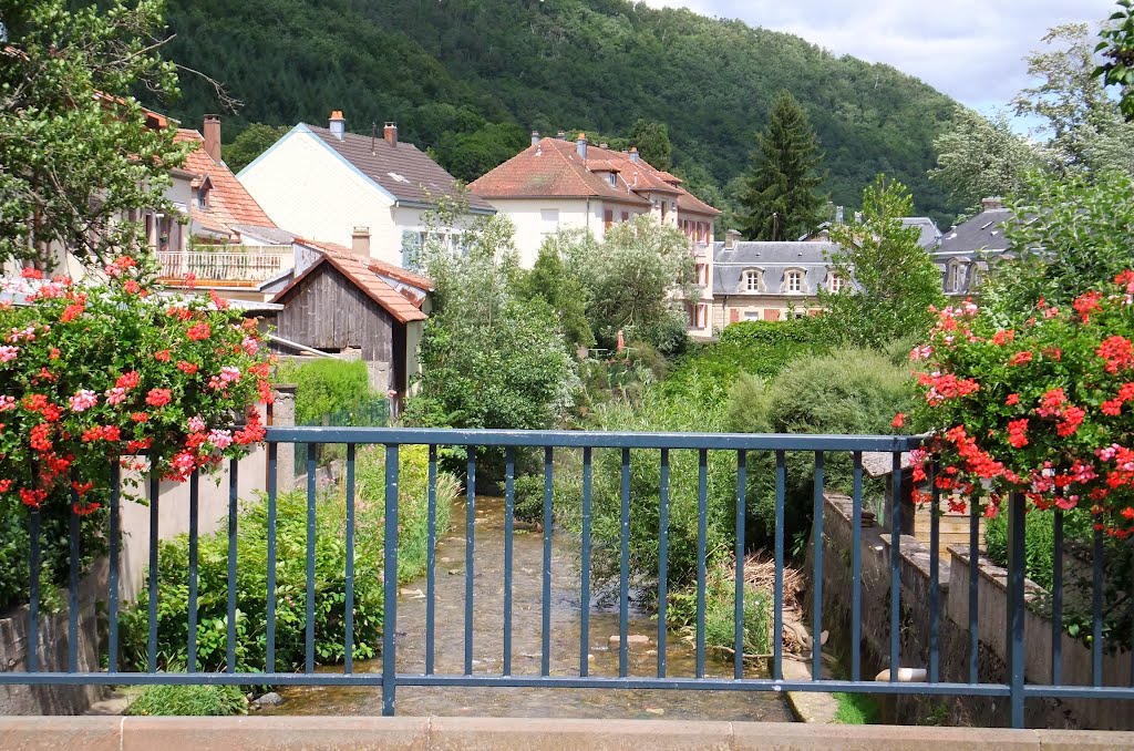 Sainte-Croix-aux-Mines, rivière : La Lièpvrette by Nidoo