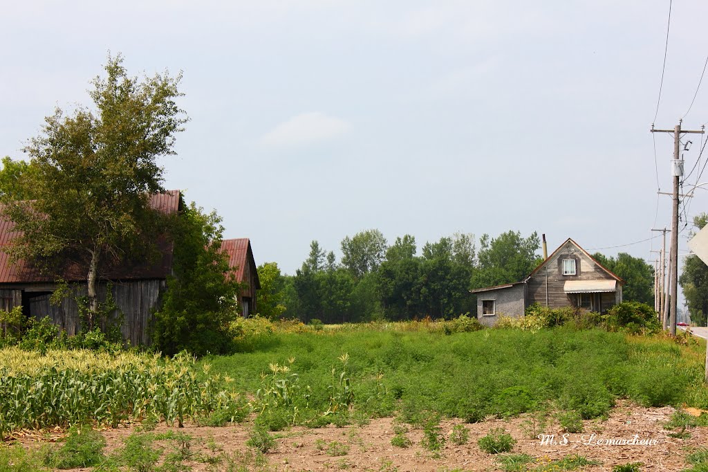 Terrrain abandonné avec ces bâtiments by Le marcheur