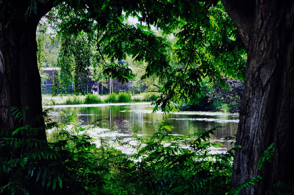 Through the trees in Capelle aan den IJssel, Netherlands by © Andre Speek