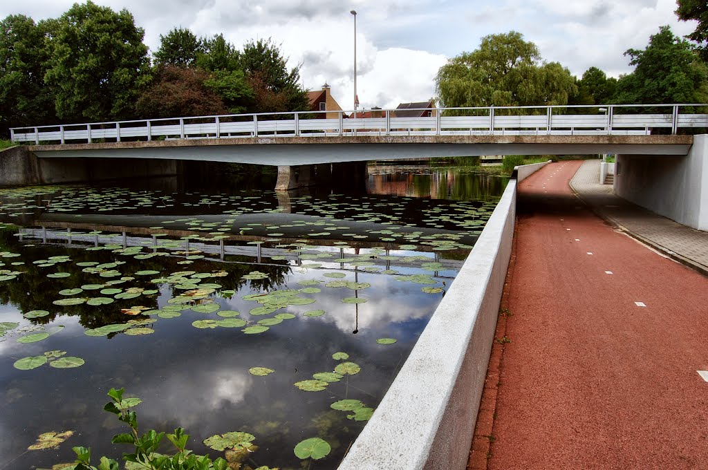 Take it to the bridge in Capelle aan den IJssel, Netherlands by © Andre Speek