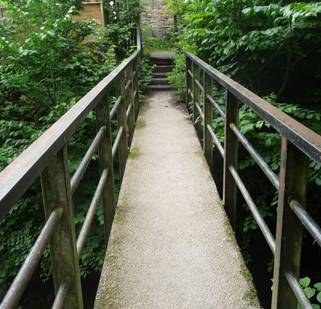 Footpath behind the castle by Immanuel Giel