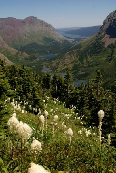 East from Swiftcurrent Pass by Alan_W