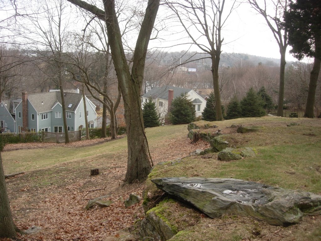 Houses beyond rocky hill by Aaron A