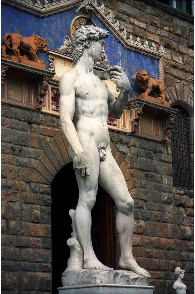 David , Palazzo Vecchio by Yoshihiro Miyagawa