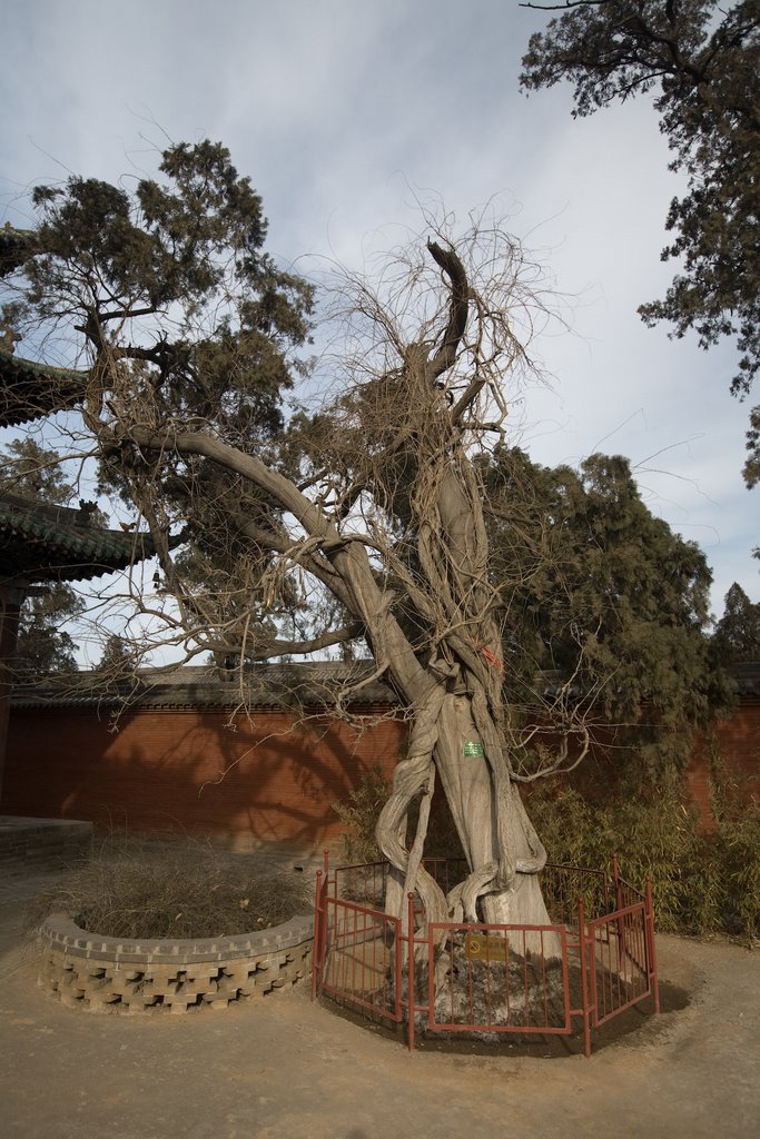 Yanhu, Yuncheng, Shanxi, China by The Longest Way