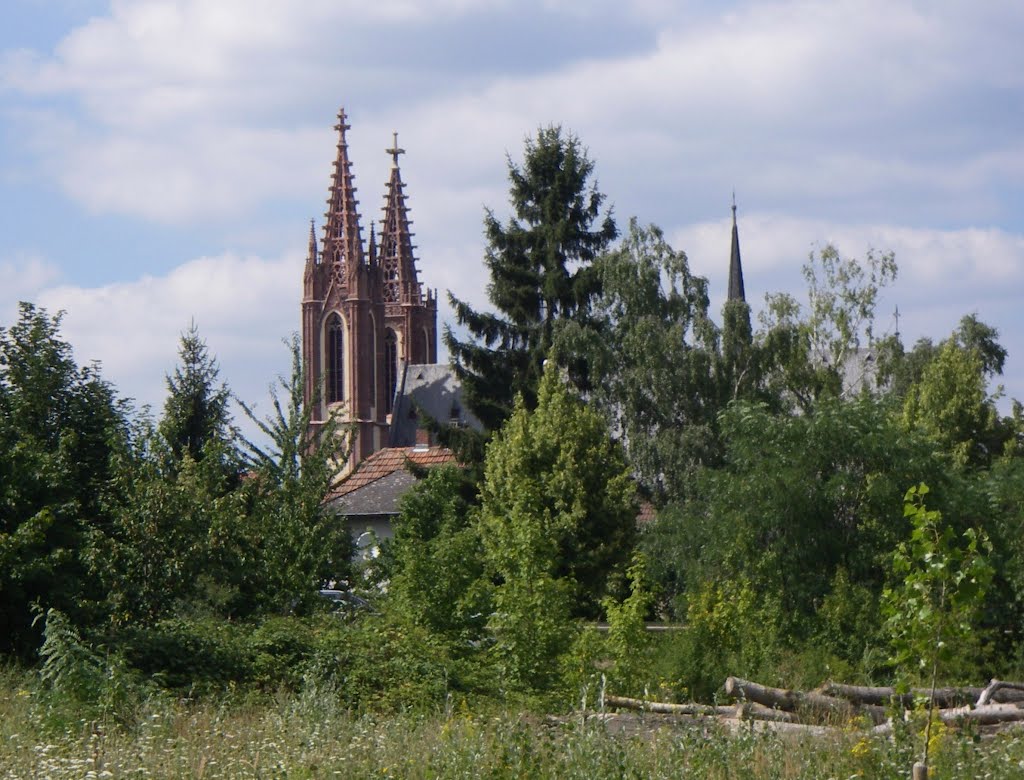 Geisenheim , Rheingauer Dom by <- Akira ->