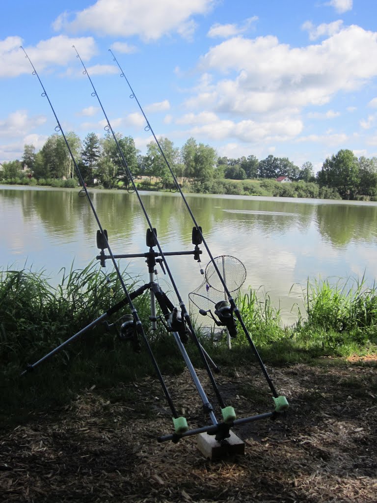 Am Karpfenteich by Hans Huemer-Vöcklamarkt