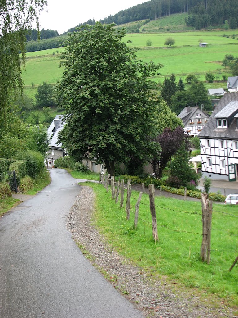 57368 Lennestadt-Milchenbach, Deutschland by Jaroslav M