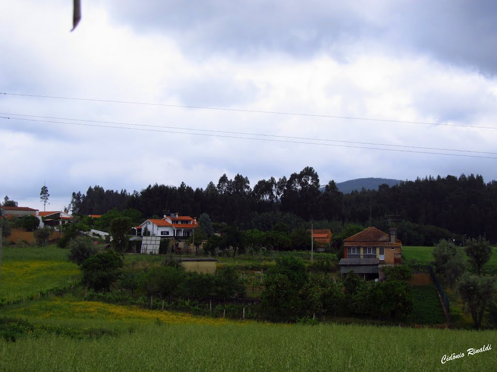 Castanheira do Vouga - Portugal by CidonioRinaldi