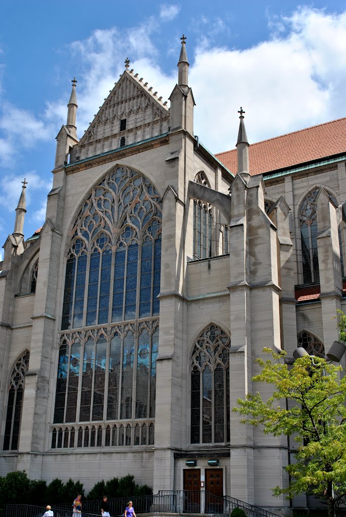 Saint Mary's Cathedral Basilica of the Assumption by Brooks Family