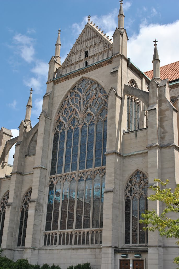 Saint Mary's Cathedral Basilica of the Assumption by Brooks Family