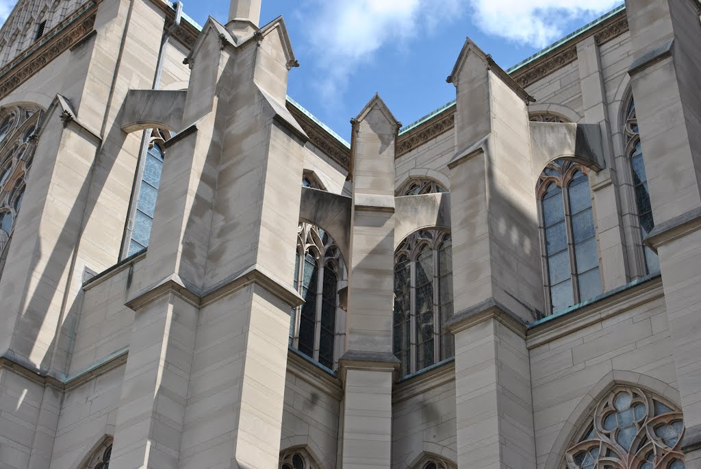 Saint Mary's Cathedral Basilica of the Assumption by Brooks Family