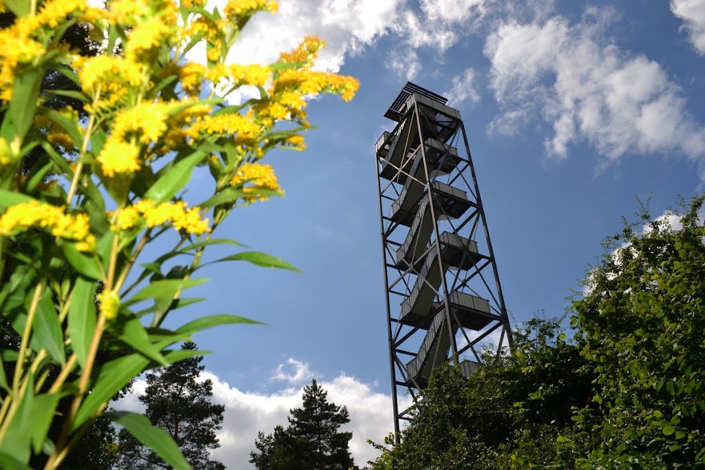 Feuerwachturm am Farnberg by 14MAN02