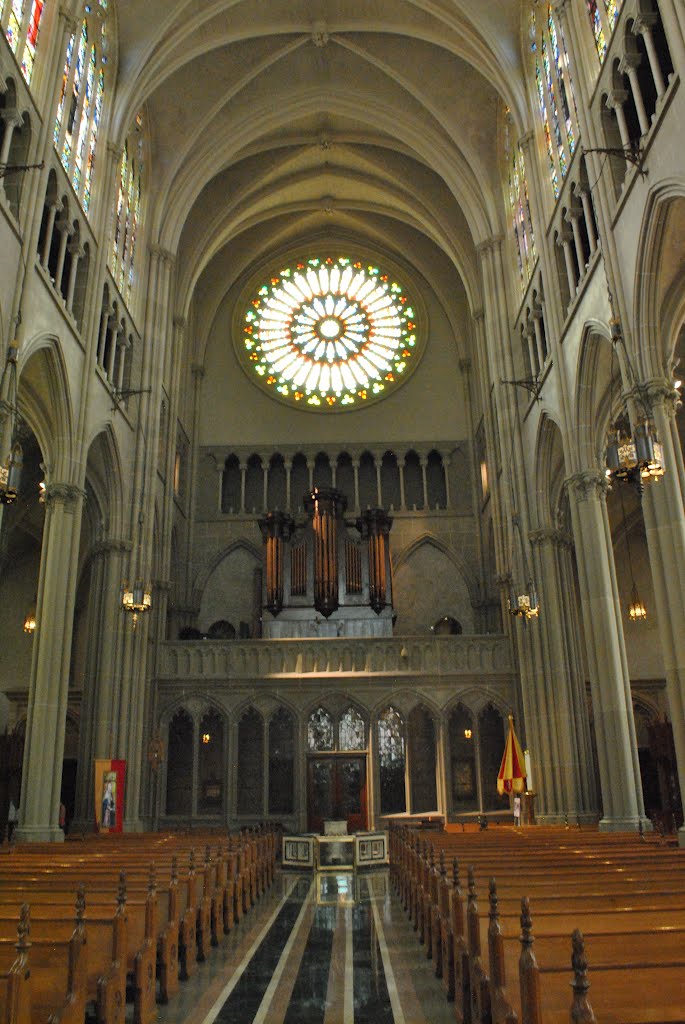 Saint Mary's Cathedral Basilica of the Assumption by Brooks Family