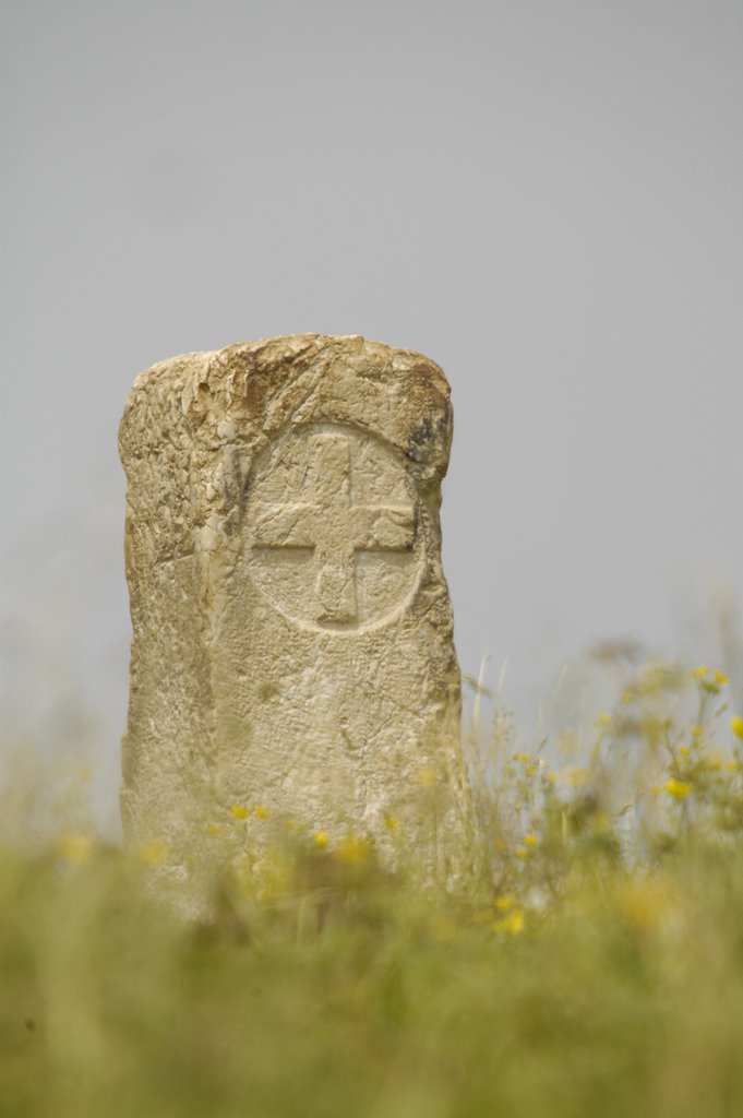 Croix de l'Alpe by Sven Leys