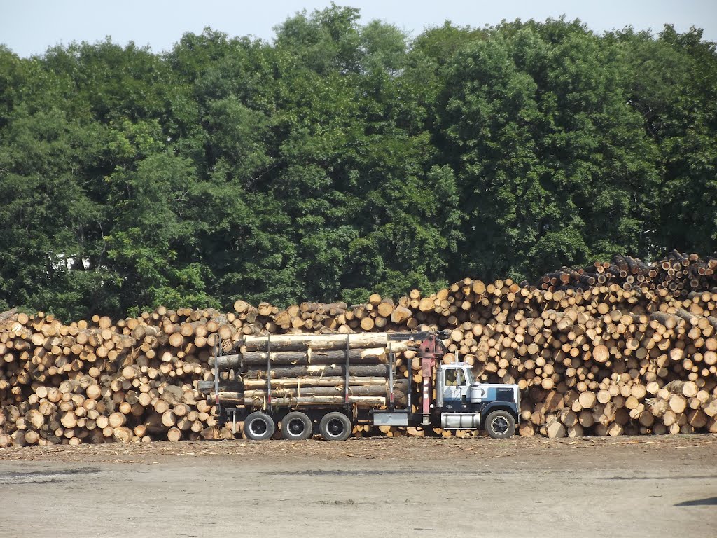 Log pile. by JBTHEMILKER