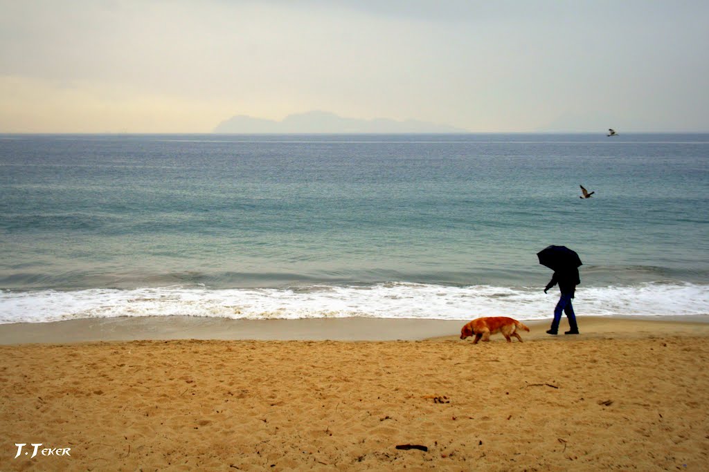 Vigo Coast by Tevfik Teker