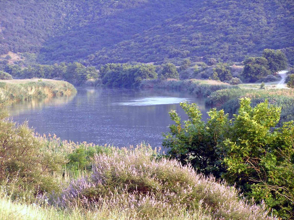 Strymon river near Amphipolis by geodis