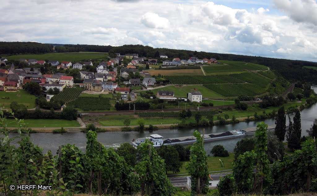 Stadtbredimus: Ortsteil Hettermillen - Blick auf die Mosel und das Dorf D-Wehr by Wandern in Ostbelgien