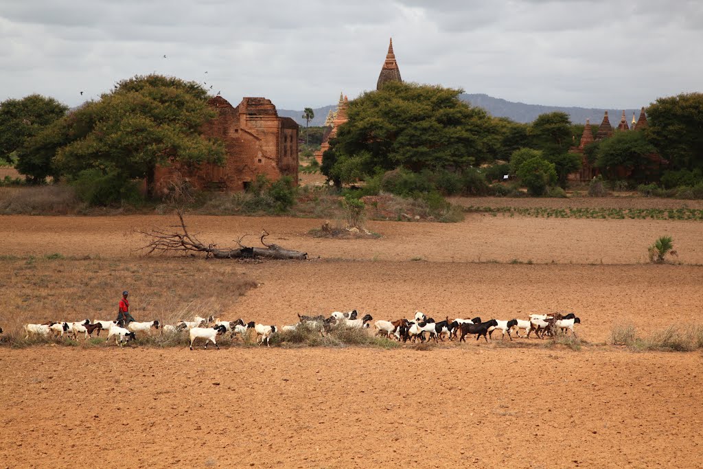 Bagan / Myanmar by nobutake