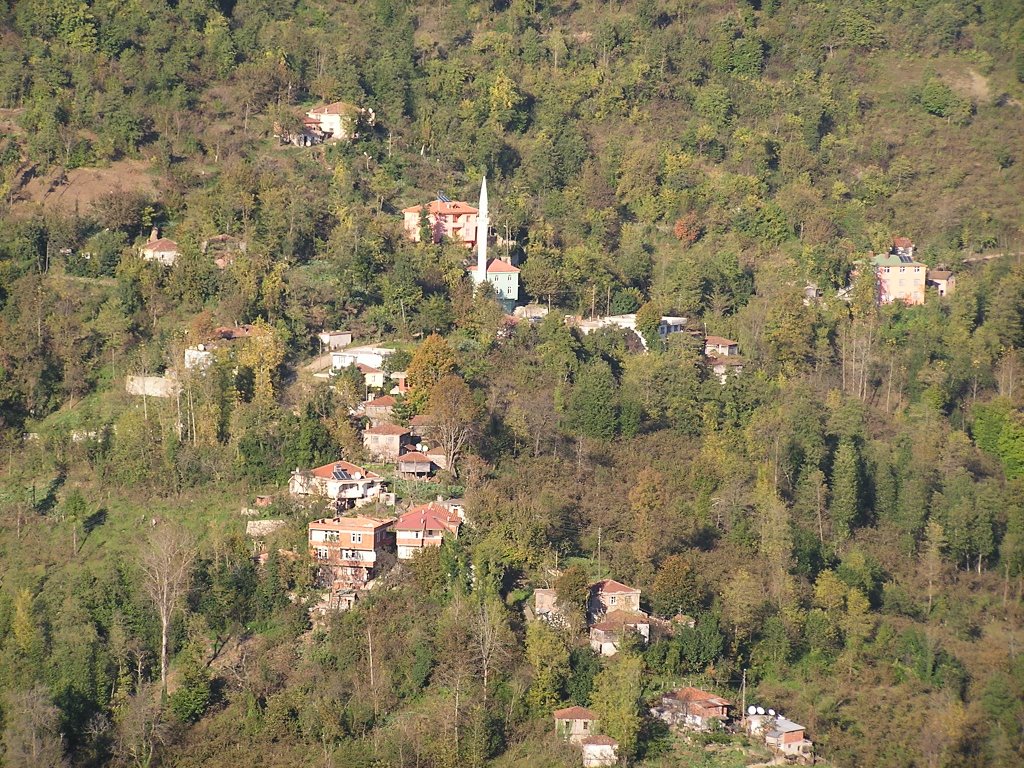 Perşembe Kazancılı Köyü Güneyköy Mahallesi (Turkey) by MuammerAy