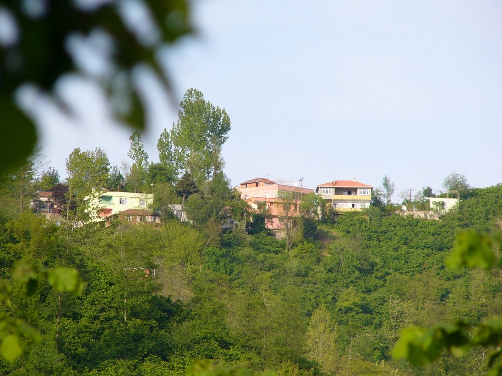 Perşembe Medreseönü Köse Mahallesi (Küçüllü) by MuammerAy